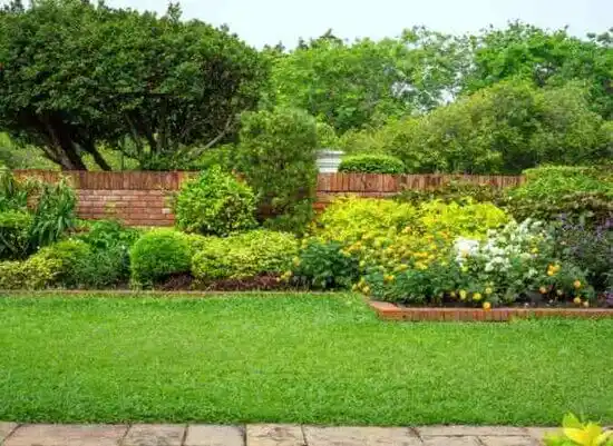 landscaping services Lovelock